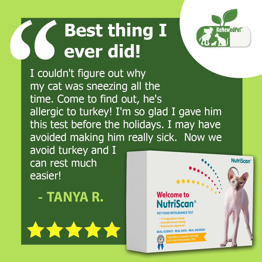 NutriScan Cat Food Allergy/Intolerance Test