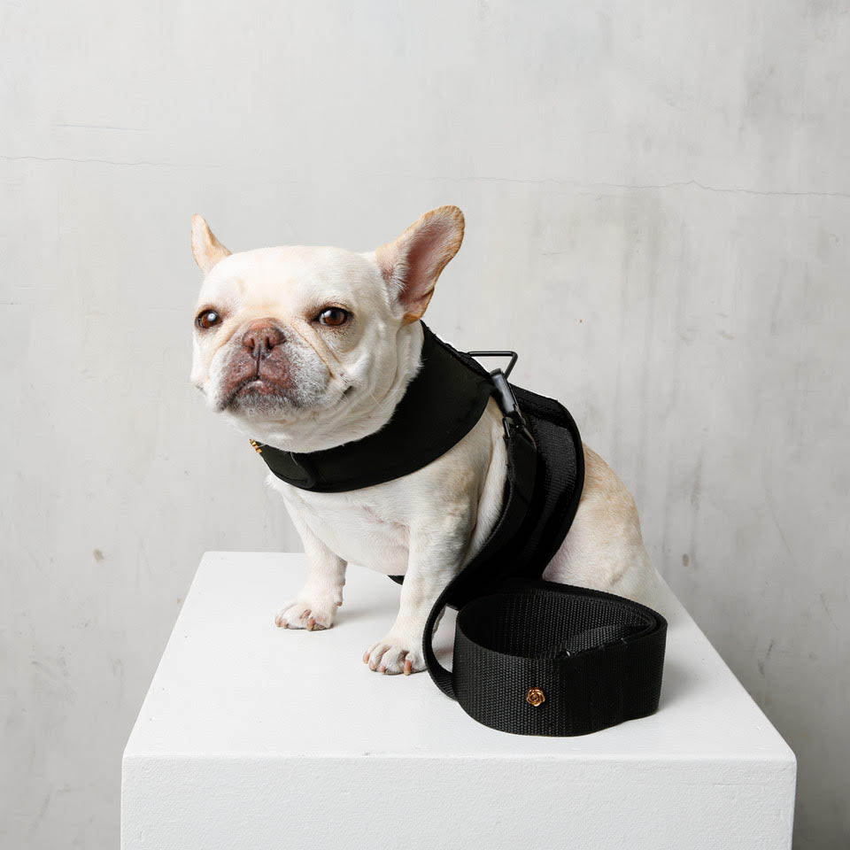 City Dog Harness