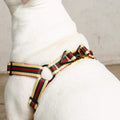 Le Classic Dog Harness