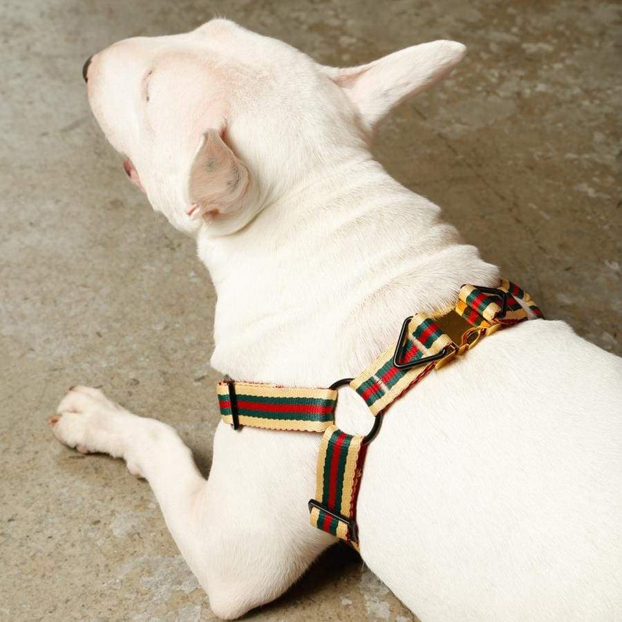 Le Classic Dog Harness