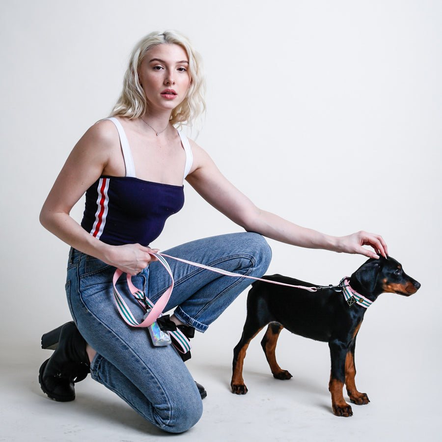 Le Classic Dog Leash