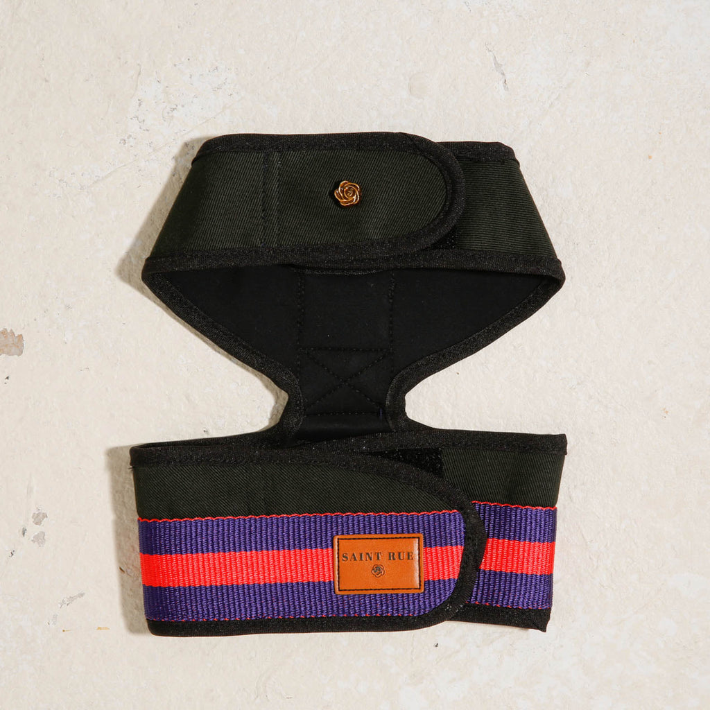 City Dog Harness
