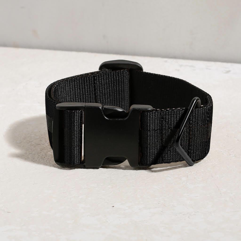 The City Dog Collar
