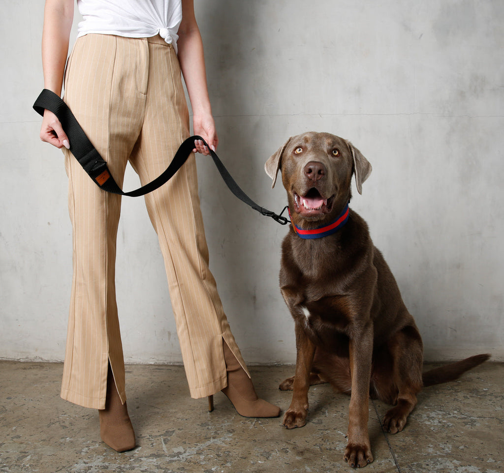 The City Dog Leash Padded