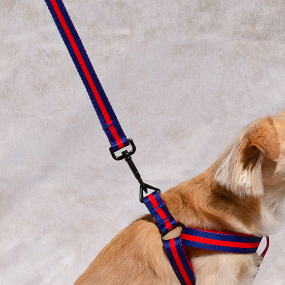 Le Classic Dog Harness