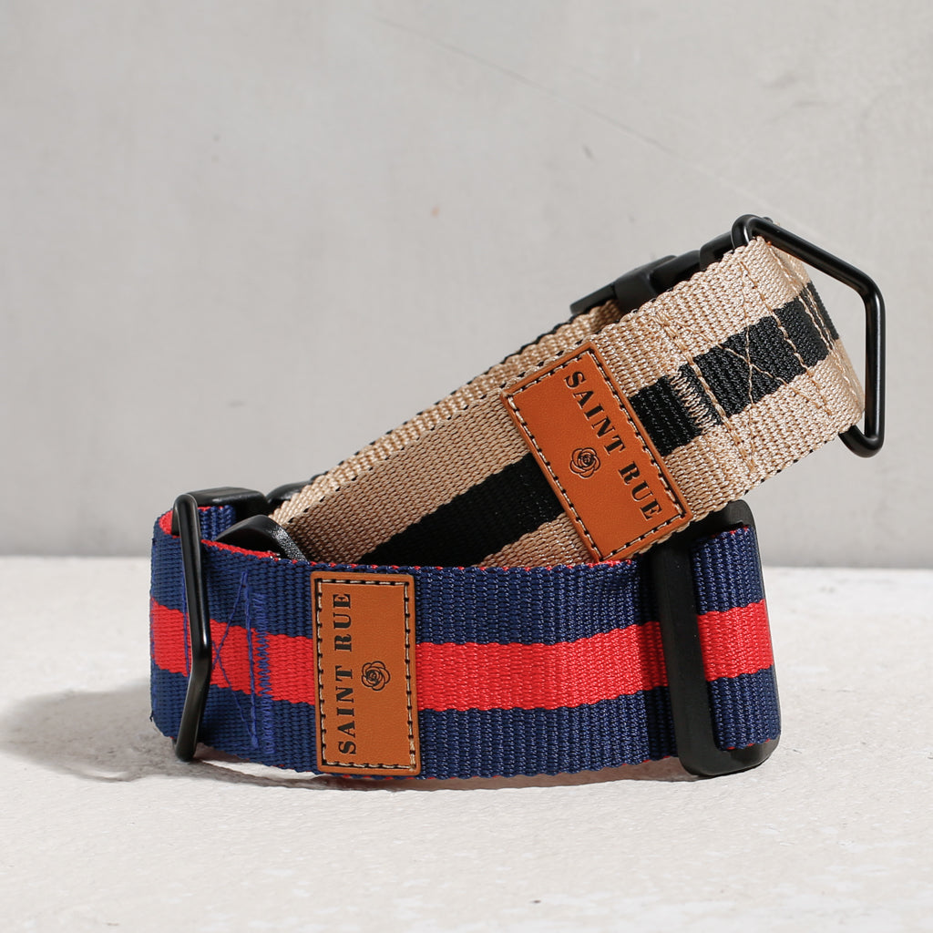 The City Dog Collar