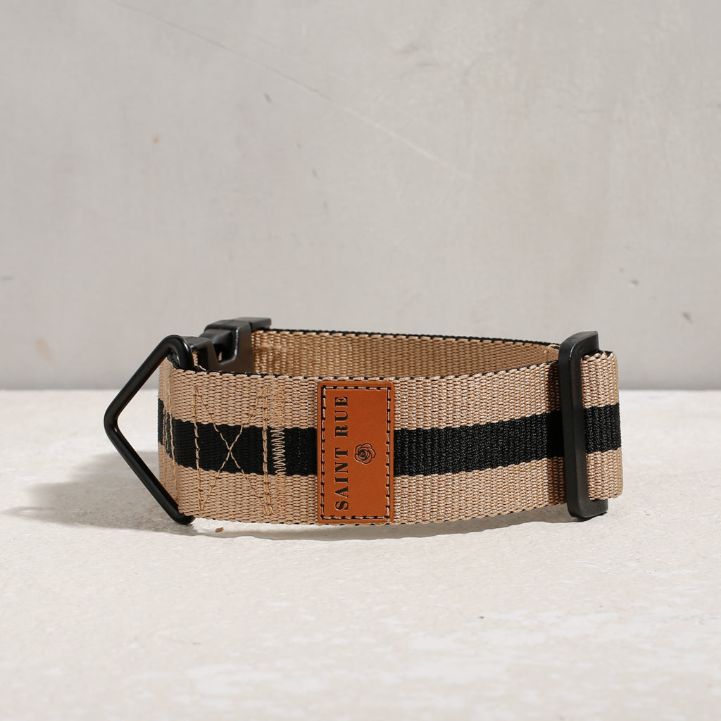 The City Dog Collar