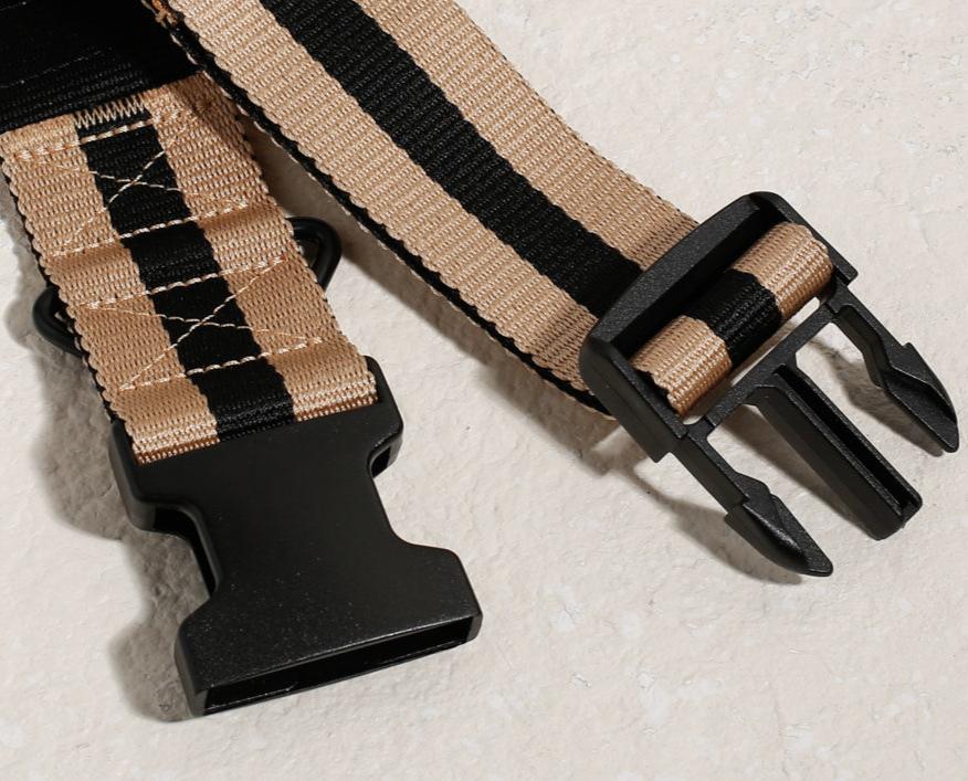 The City Dog Collar